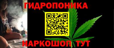 ALPHA PVP Бердск